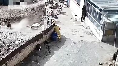 Muž se postavil útočícímu psovi