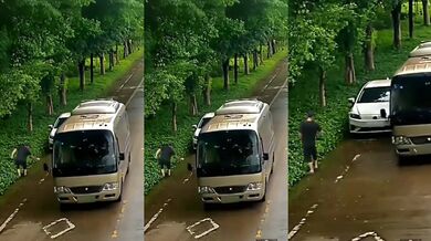 Brilantní chycení!