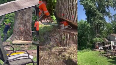 Nezdařené kácení stromu