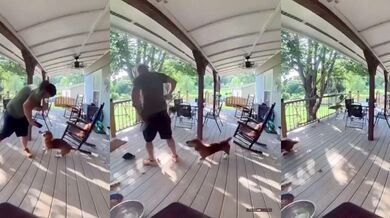 Neobvyklý útok: Veverka zaútočila na muže i jeho psa