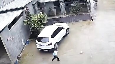 Chlapec zachráněn autem před útokem buvola