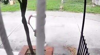 Zametání před domem ho málem stálo život