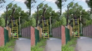 Nehoda při řezání stromu