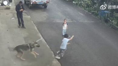 Karma pro chlapce dráždícího psa