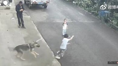 Karma pro chlapce dráždícího psa