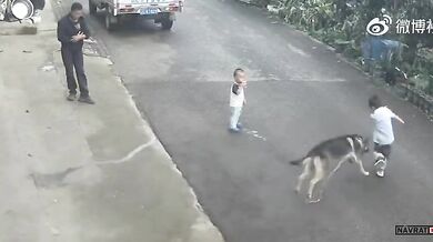 Karma pro chlapce dráždícího psa