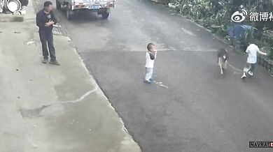 Karma pro chlapce dráždícího psa