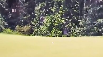 Moucha pomohla golfistovi Fleetwoodovi k birdie a výhře přes 21 milionů korun