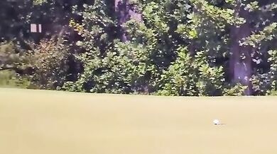 Moucha pomohla golfistovi Fleetwoodovi k birdie a výhře přes 21 milionů korun