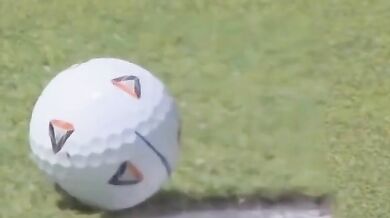 Moucha pomohla golfistovi Fleetwoodovi k birdie a výhře přes 21 milionů korun