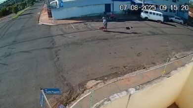 Muž skončil v kómatu poté, co ho porazil pes