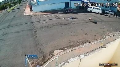 Muž skončil v kómatu poté, co ho porazil pes