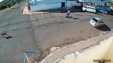 Muž skončil v kómatu poté, co ho porazil pes