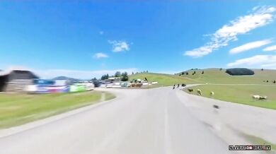 Srážka motorkáře s krávou