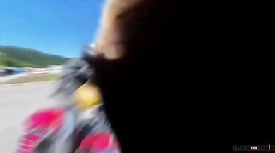 Srážka motorkáře s krávou
