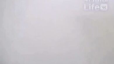 Exploze cisterny s oxidem uhličitým si vyžádala život řidiče a zranila dítě