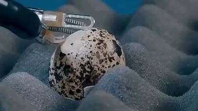 Robotičtí chirurgové dosahují nevídané přesnosti: operace vejce bez prasknutí skořápky