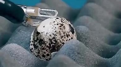 Robotičtí chirurgové dosahují nevídané přesnosti: operace vejce bez prasknutí skořápky