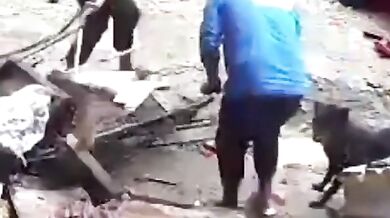 Obří balvan zničil auto i psí klec při tajfunu Wipha, pes však zázračně přežil