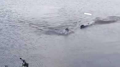 Plavec těsně unikl aligátorovi