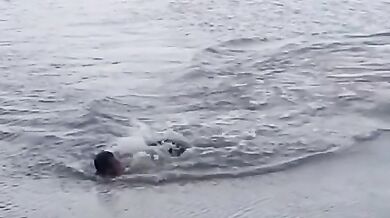 Plavec těsně unikl aligátorovi