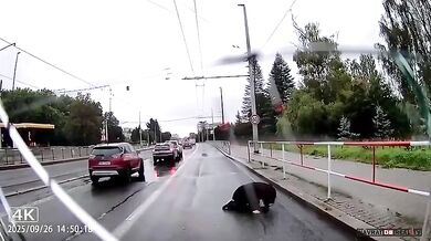 Hrůzná nehoda v Praze