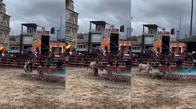 Ten se toho vůbec nebál!