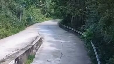 Smrt motorkářky po pádu stromu