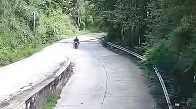 Smrt motorkářky po pádu stromu