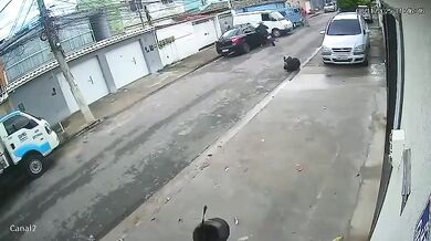 Brutální konec pokusu o loupež: Jeden podezřelý usmrcen po srážce s autem