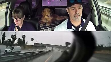 Vyhnutí se dopravní nehodě o vlásek