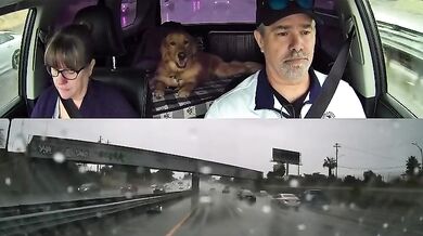 Vyhnutí se dopravní nehodě o vlásek