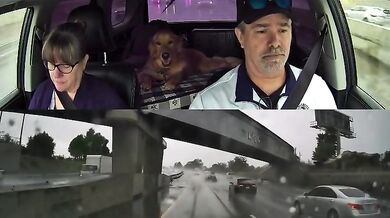 Vyhnutí se dopravní nehodě o vlásek