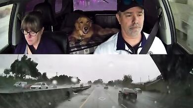 Vyhnutí se dopravní nehodě o vlásek