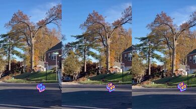 Nevydařené kácení stromu vedle domu