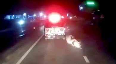 Naštěstí byla sanitka poblíž...