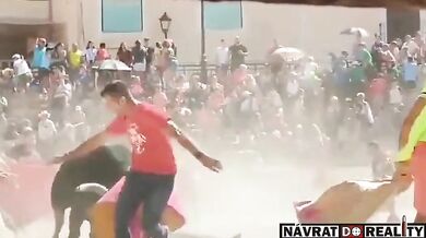 Extrémní záběry ze španělských býčích zápasů