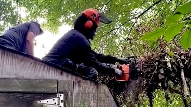 Řezání stromu dopadlo téměř bez problémů...