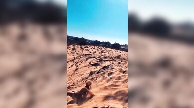 Pokus o trojité salto