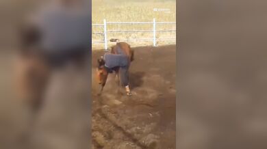 Krocení koně starým způsobem