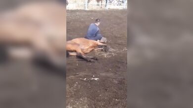 Krocení koně starým způsobem