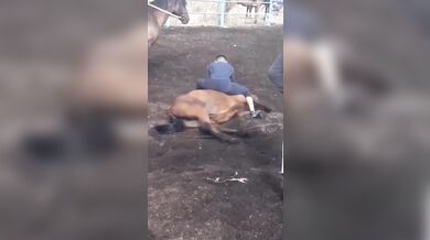 Krocení koně starým způsobem