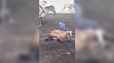 Krocení koně starým způsobem