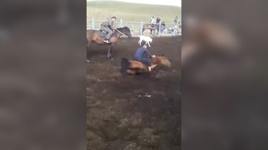 Krocení koně starým způsobem