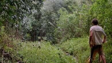 Vězeň ráje - 1980