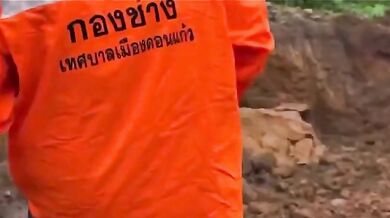 Smrt inspektora po zavalení zeminou