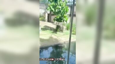 Tragédie v brazilské zoo: Muž vlezl do výběhu lvice a ta ho na místě usmrtila