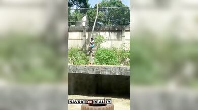 Tragédie v brazilské zoo: Muž vlezl do výběhu lvice a ta ho na místě usmrtila