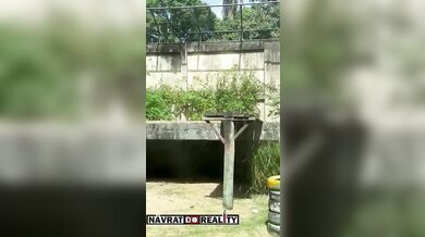 Tragédie v brazilské zoo: Muž vlezl do výběhu lvice a ta ho na místě usmrtila