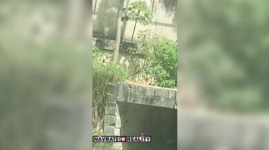 Tragédie v brazilské zoo: Muž vlezl do výběhu lvice a ta ho na místě usmrtila